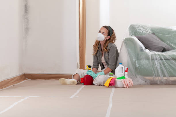Reliable Mold Removal contractor in Cypress, TX by WQB Mold Removal